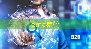 emc易倍体育官方入口：一张大屏如何打造智慧城市？显示大会这场论坛给出答案