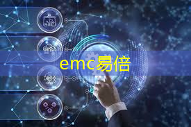 emc易倍：天津东丽智慧城市政批复