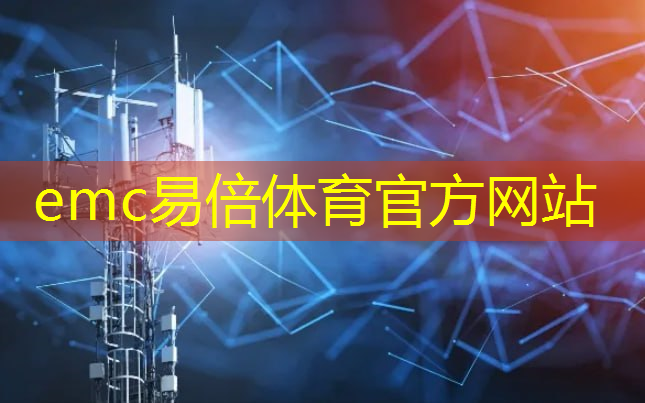 emc易倍体育官方入口：吴志强智慧城市新型功能单元