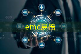 emc易倍体育官方入口：世界智慧城市案例研究