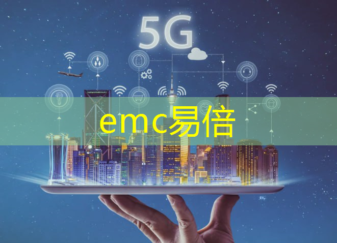 emc易倍：新型智慧城市建设研讨发言材料