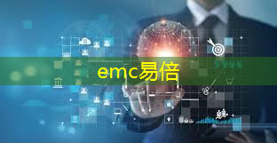 emc易倍体育官方入口：智能算法物流